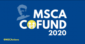 MSA Cofund
